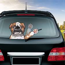 rear window stickers for cars
