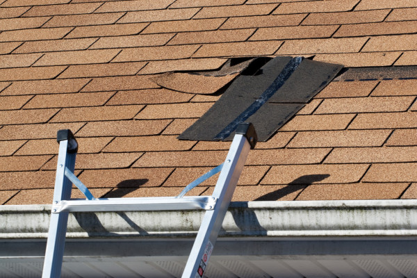 Expert Roof Repair Service